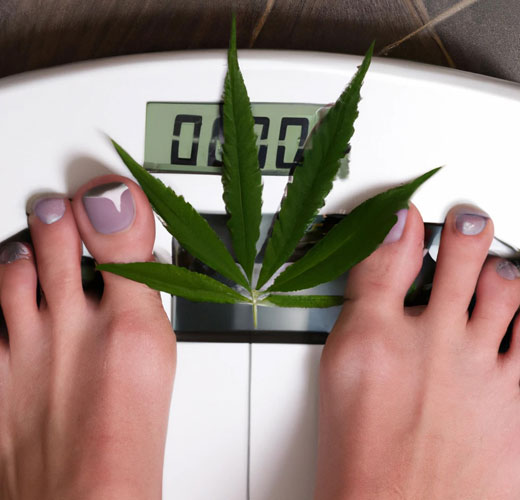 Weed for Weight Loss: Introducing the Super Sativa THCV